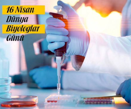 Slider image (6) Sezar Hospital